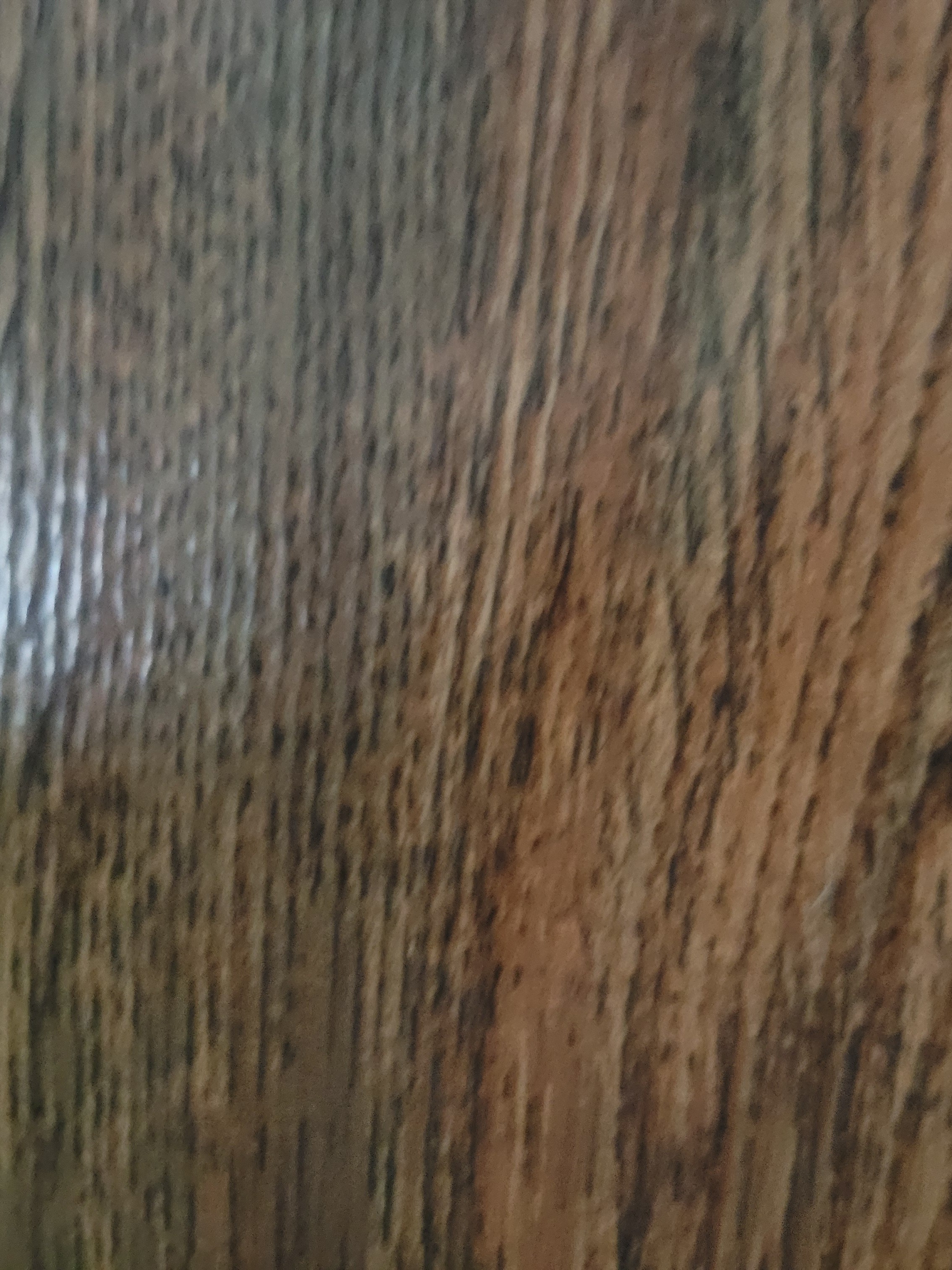 Mỹ Mỹ - Em hàng hiền lành, phục vụ ân cần